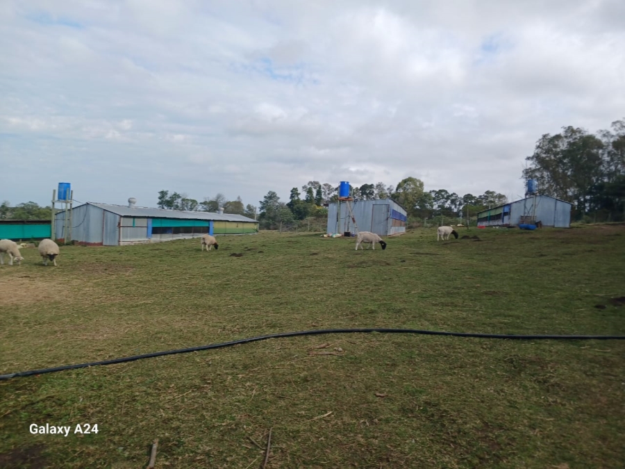 5 Bedroom Property for Sale in Macleantown Eastern Cape